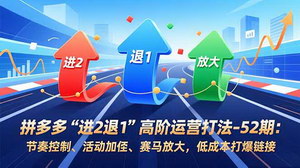 [支持免费下载]拼多多“进2退1”高阶运营实战指南：低成本引爆流量与权重增长全解析