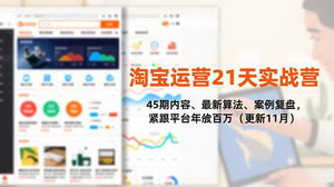 [支持免费下载]淘宝运营21天实战营第45期：最新算法解析与百万级案例复盘，0基础速成高转化操盘手