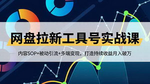 [支持免费下载]网盘拉新工具号实战指南：SOP流程+被动引流技巧+多端变现策略，轻松实现月入过万