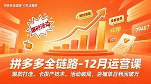 [支持免费下载]拼多多12月运营秘籍：从爆款打造到单日利润破万的全链路实操指南