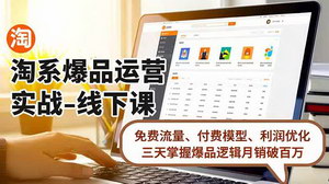 [支持免费下载]淘系爆品运营线下课：三天掌握免费流量、付费模型与利润优化，打造月销百万爆款