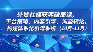 [支持免费下载]外贸社媒获客实战指南：平台策略×内容引擎×询盘转化，打造高效引流体系（10-11月特训）