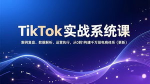 [支持免费下载]TikTok实战系统课+AI小红书变现：双线掘金，构建千万级电商体系
