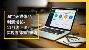 [支持免费下载]11月淘宝天猫爆品利润增长线下课：免费流量获取、付费广告放大与费用比管控实战指南