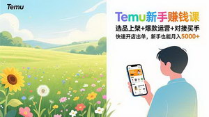 [支持免费下载]Temu新手赚钱课：全流程实战教学，新手也能快速开店月入5000+