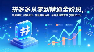 [支持免费下载]2026拼多多全阶班：从基础到高阶，构建百万月销盈利体系
