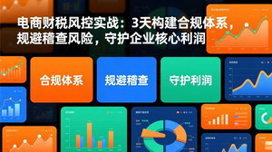 [支持免费下载]电商财税风控实战课：3天搭建合规体系，规避稽查风险，守住企业核心利润