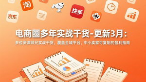 [支持免费下载]电商圈多年实战干货（更新3月）：全域平台可复制盈利指南，中小卖家从起店到爆单全攻略