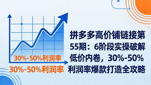 [支持免费下载]拼多多高价铺链接第55期：6阶段实操破低价内卷，打造30%-50%利润率爆款