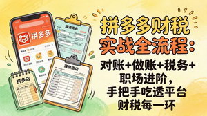 [支持免费下载]拼多多财税实操全流程：对账+做账+税务+职场进阶，手把手吃透平台财税每一环