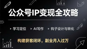 [支持免费下载]公众号IP变现全攻略（更新版）：定位+AI写作+私域转化，副业月入过万