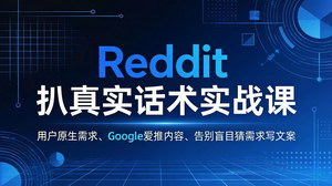 [支持免费下载]Reddit扒真实话术实战课用原生需求做Google高排名内容，告别盲目写文案