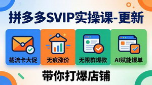 [支持免费下载]拼多多SVIP实操课26年4月新版截流卡大促+无痕涨价+AI赋能全链路打爆店铺