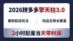 [支持免费下载]2026拼多多擎天柱3.0实战课 标品生鲜2小时起量当天盈利玩法