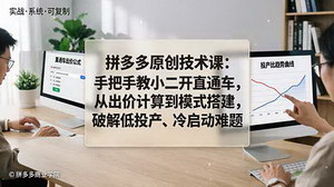 [支持免费下载]拼多多直通车原创实战技术课 精准出价计算模式搭建破解低投产冷启动难题