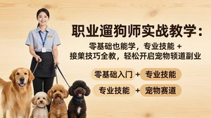 [支持免费下载]职业遛狗师全能实战教程 零基础入门宠物副业掌握技能轻松稳定接单