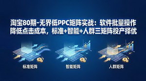 [支持免费下载]淘宝无界低PPC矩阵实战教程 三矩阵玩法批量降本提升店铺投产比
